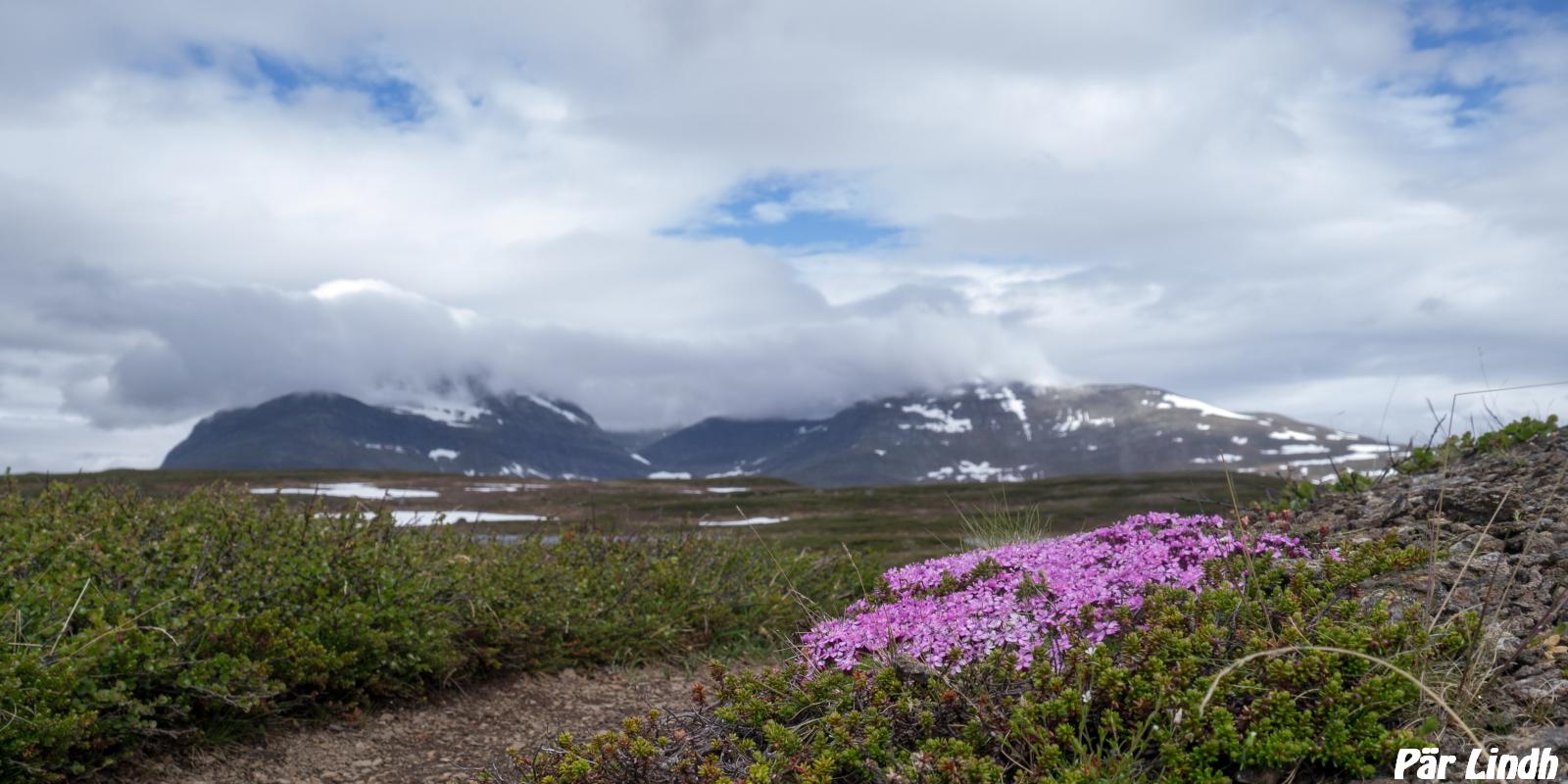 Helagsfjället