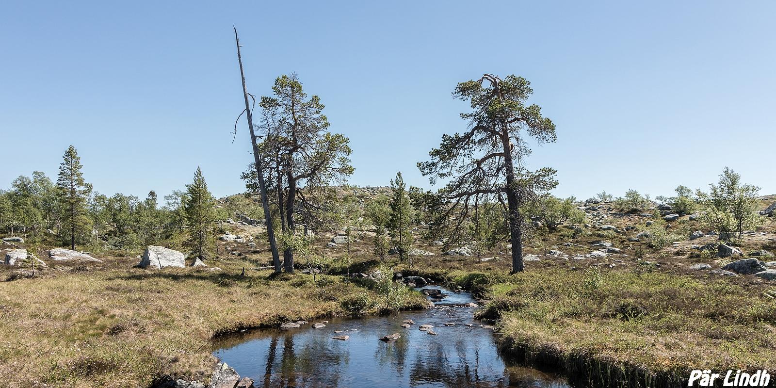 Volsjøbekken