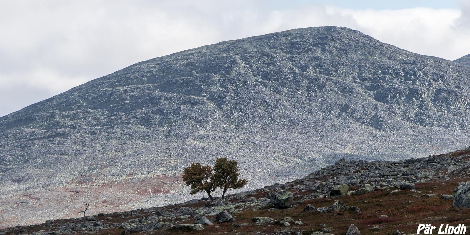 Sylfjellet