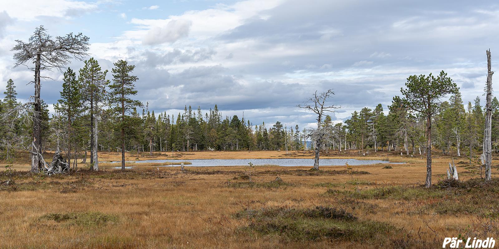 Edevikfjället